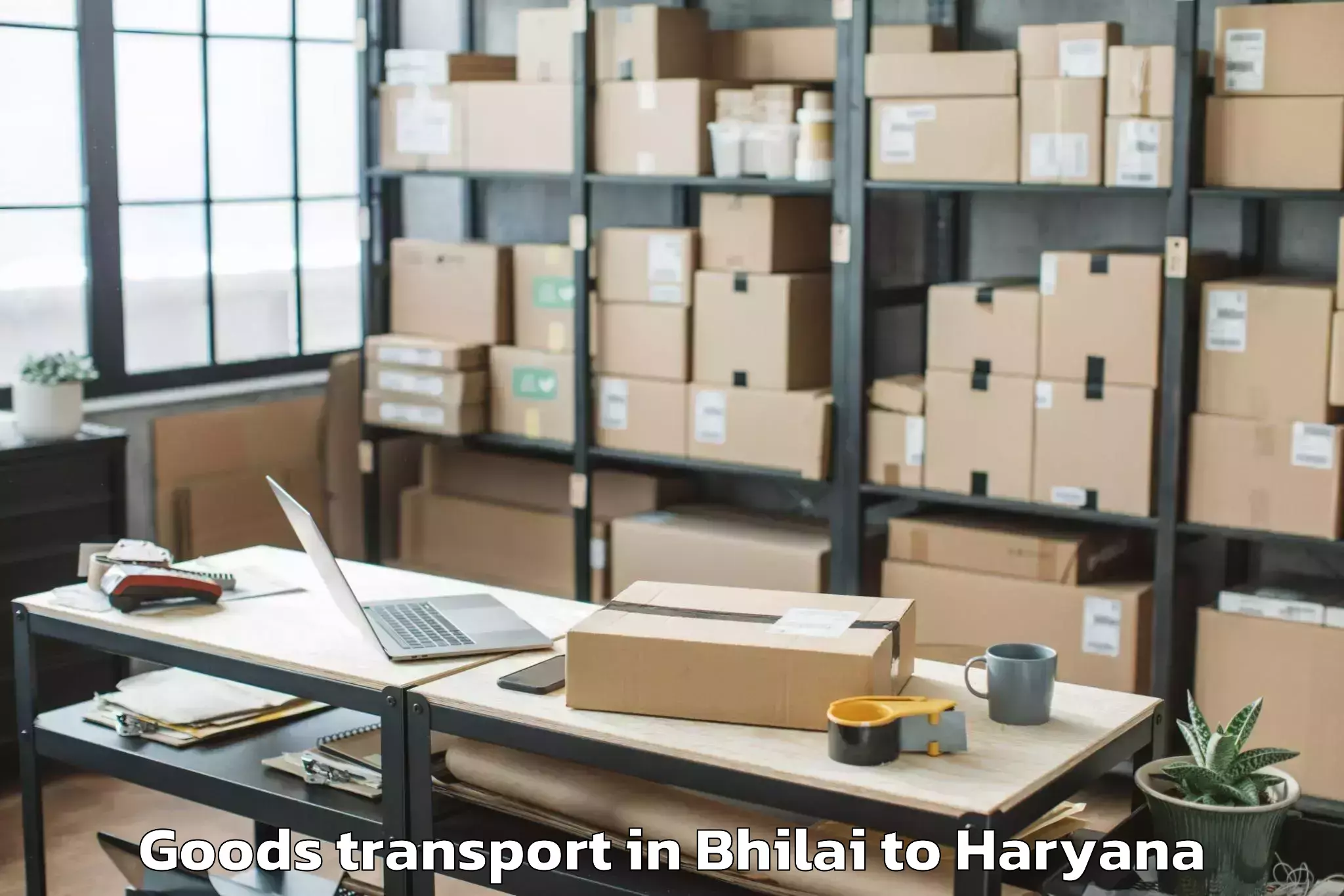 Professional Bhilai to Pdm University Bahadurgarh Goods Transport